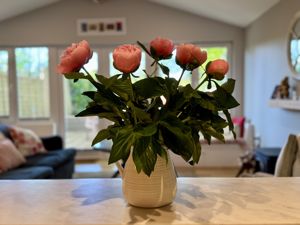 Photo 11- click for photo gallery